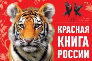 Read more about the article Путешествие по Красной книге