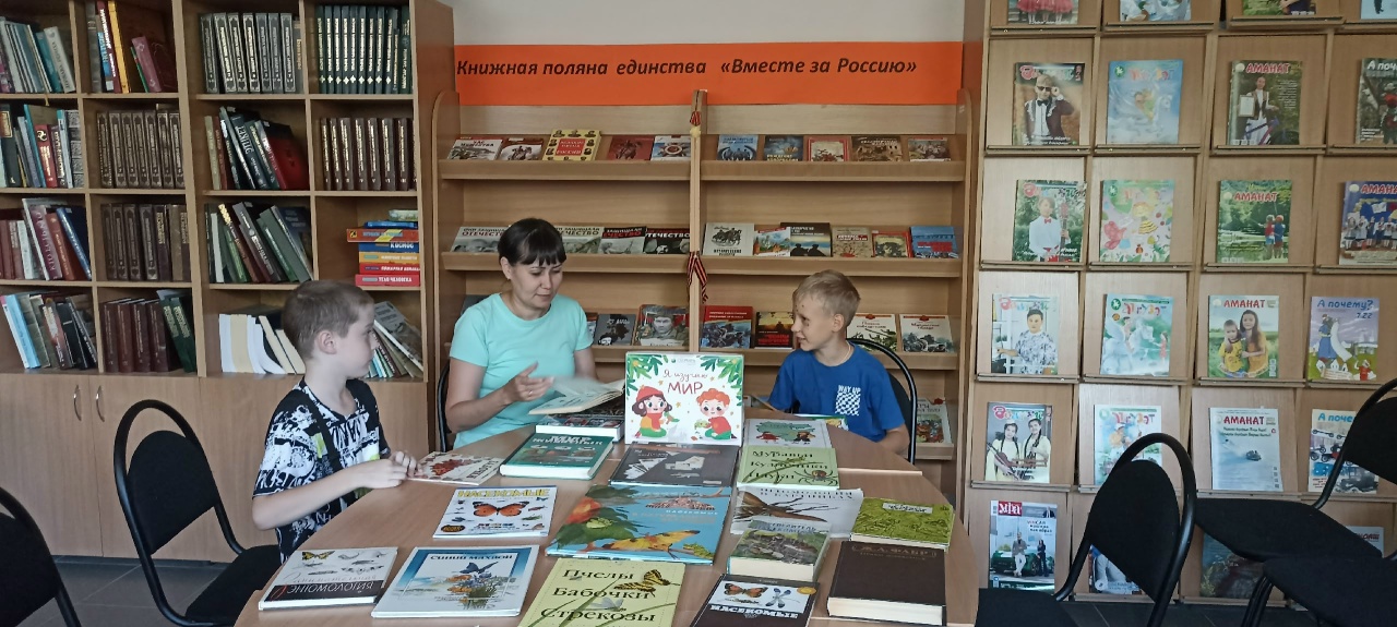 Read more about the article Мир насекомых России
